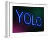 Yolo Concept.-sam2172-Framed Art Print