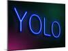 Yolo Concept.-sam2172-Mounted Art Print