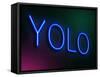 Yolo Concept.-sam2172-Framed Stretched Canvas