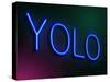 Yolo Concept.-sam2172-Stretched Canvas