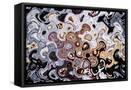 Framed Canvas