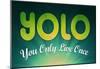 YOLO You Only Live Once Motivational Poster-null-Mounted Poster