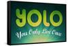 YOLO You Only Live Once Motivational Poster-null-Framed Stretched Canvas