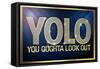 YOLO You Oughta Look Out-null-Framed Stretched Canvas