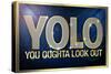 YOLO You Oughta Look Out-null-Stretched Canvas