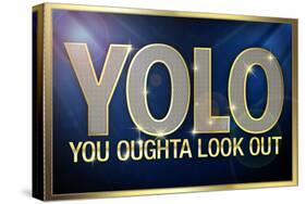 YOLO You Oughta Look Out-null-Stretched Canvas