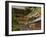 Yomei-Mon, Tosho-Gu Shrine, Nikko, Central Honshu, Japan-Schlenker Jochen-Framed Photographic Print