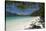 Yong Kasem Beach, Known as Monkey Beach, Phi Phi Don Island, Thailand, Southeast Asia, Asia-Sergio Pitamitz-Stretched Canvas