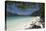 Yong Kasem Beach, Known as Monkey Beach, Phi Phi Don Island, Thailand, Southeast Asia, Asia-Sergio Pitamitz-Stretched Canvas