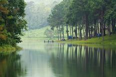 Morning Atmosphere Campsite on A Lake in the Pine Forest-Yongkiet-Framed Photographic Print