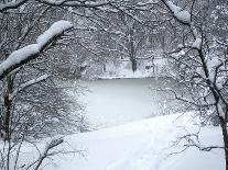 Central Park Snow and Stream-Yoni Teleky-Art Print