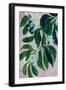 Yoon leaves in pink-Rosana Laiz Garcia-Framed Giclee Print