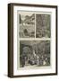 York Illustrated-null-Framed Giclee Print