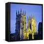 York Minster Floodlit, York, Yorkshire, England, UK, Europe-Roy Rainford-Framed Stretched Canvas