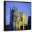 York Minster Floodlit, York, Yorkshire, England, UK, Europe-Roy Rainford-Framed Photographic Print