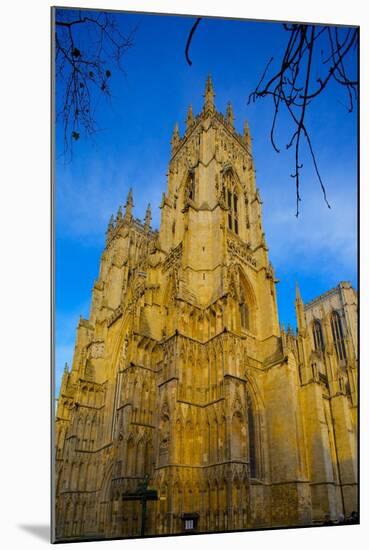 York Minster, York, Yorkshire, England, United Kingdom, Europe-Frank Fell-Mounted Photographic Print