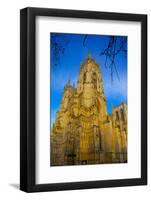 York Minster, York, Yorkshire, England, United Kingdom, Europe-Frank Fell-Framed Photographic Print