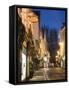 York Minster, Yorkshire, England, UK-Alan Copson-Framed Stretched Canvas