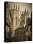 York Minster, Yorkshire, England, UK-Alan Copson-Stretched Canvas