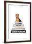 Yorkie Bookstack IIII-Amanda Greenwood-Framed Art Print