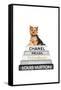 Yorkie Bookstack IIII-Amanda Greenwood-Framed Stretched Canvas