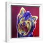 Yorkie - Furbie Face-Dawgart-Framed Giclee Print