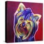 Yorkie - Furbie Face-Dawgart-Stretched Canvas