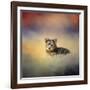 Yorkie Loving the Leaves-Jai Johnson-Framed Giclee Print