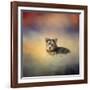 Yorkie Loving the Leaves-Jai Johnson-Framed Giclee Print