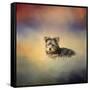 Yorkie Loving the Leaves-Jai Johnson-Framed Stretched Canvas