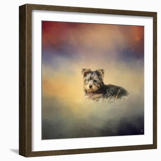 Yorkie Loving the Leaves-Jai Johnson-Framed Giclee Print