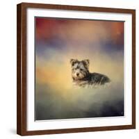 Yorkie Loving the Leaves-Jai Johnson-Framed Giclee Print