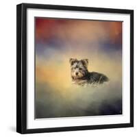 Yorkie Loving the Leaves-Jai Johnson-Framed Giclee Print