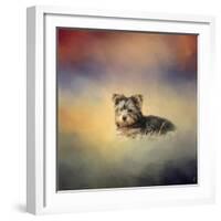 Yorkie Loving the Leaves-Jai Johnson-Framed Giclee Print