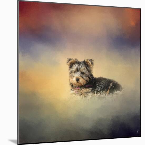 Yorkie Loving the Leaves-Jai Johnson-Mounted Giclee Print