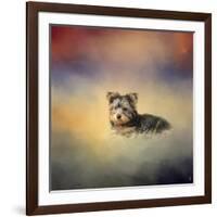 Yorkie Loving the Leaves-Jai Johnson-Framed Giclee Print