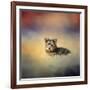 Yorkie Loving the Leaves-Jai Johnson-Framed Giclee Print