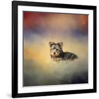 Yorkie Loving the Leaves-Jai Johnson-Framed Giclee Print