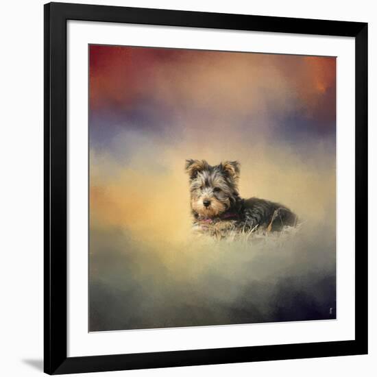 Yorkie Loving the Leaves-Jai Johnson-Framed Giclee Print