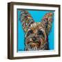 Yorkie on Blue-Carolee Vitaletti-Framed Art Print