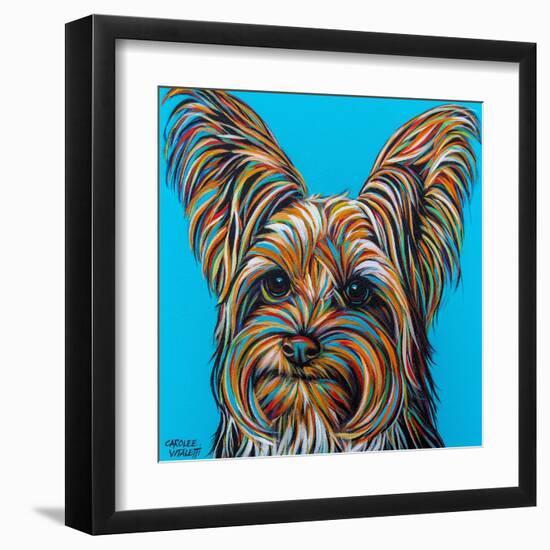 Yorkie on Blue-Carolee Vitaletti-Framed Art Print