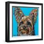 Yorkie on Blue-Carolee Vitaletti-Framed Art Print