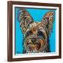 Yorkie on Blue-Carolee Vitaletti-Framed Art Print