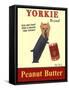 Yorkie Peanut Butter-Ken Bailey-Framed Stretched Canvas