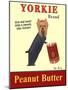 Yorkie Peanut Butter-Ken Bailey-Mounted Giclee Print