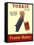 Yorkie Peanut Butter-Ken Bailey-Framed Stretched Canvas
