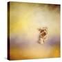 Yorkie Running into the Wind-Jai Johnson-Stretched Canvas