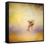 Yorkie Running into the Wind-Jai Johnson-Framed Stretched Canvas