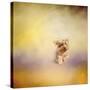 Yorkie Running into the Wind-Jai Johnson-Stretched Canvas