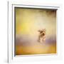 Yorkie Running into the Wind-Jai Johnson-Framed Giclee Print